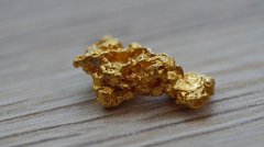 Velos Markets威马证券：在不确定性中寻找确定性