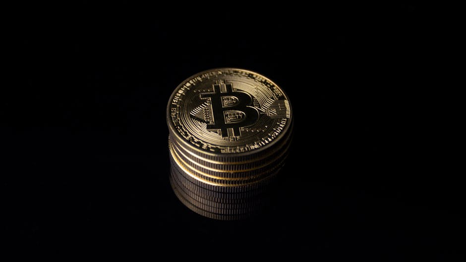 Velos Markets平台功能解析：从新手到专业级的全链条服务