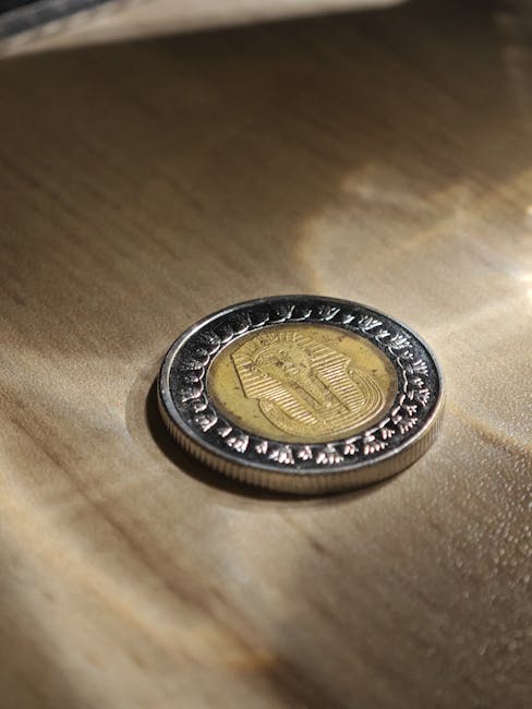 Velos Markets威马证券：多维策略与弹性风控如何重塑投资决策