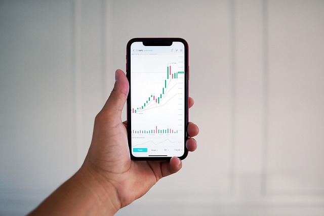 Velos Markets威马证券：开启您的全球金融投资之旅