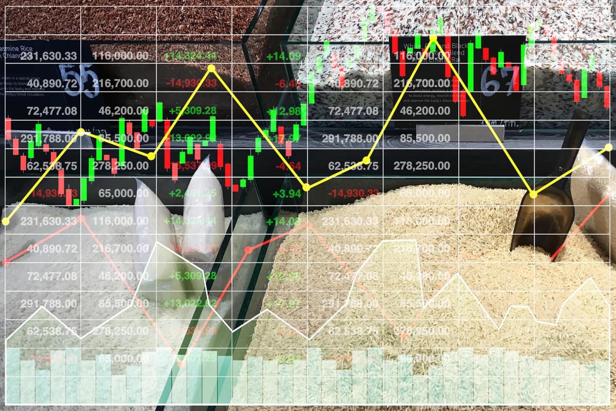 探索ACE Markets：差价合约交易与博弈智慧的新手指南